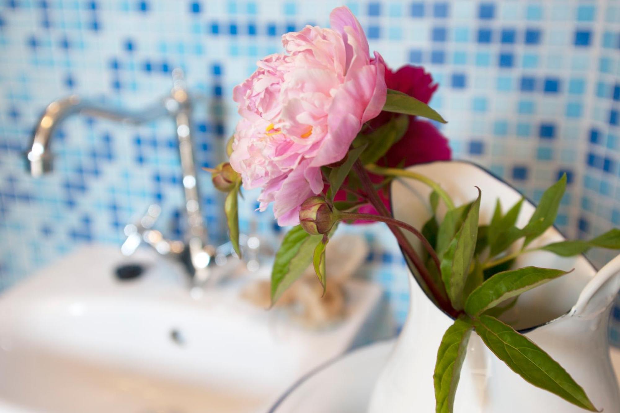 Luscher & Matiesen Muhu Winehouse Liiva  部屋 写真